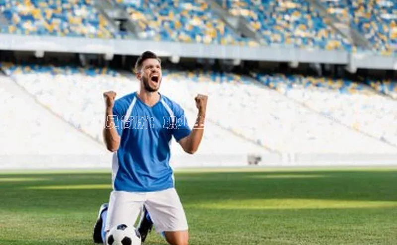 凯捷娱乐百度搜索资源平台