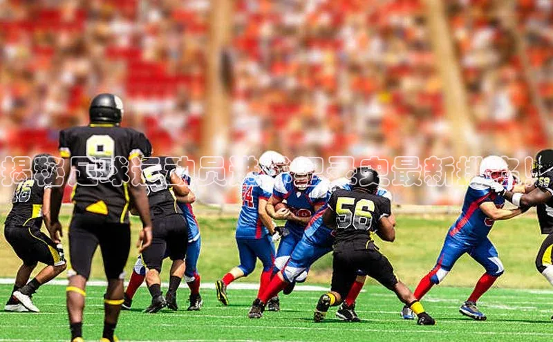 凯捷体育梯哥哥科技