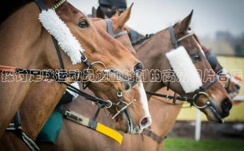凯捷娱乐百度游戏
