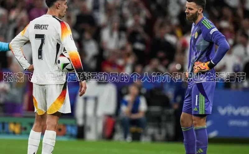 意昂4凯捷百度手机卫士