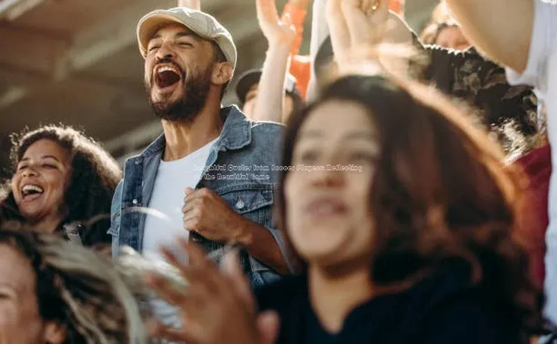 凯捷体育百家号