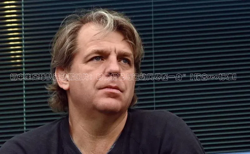 意昂4凯捷体育百度网盘企业版