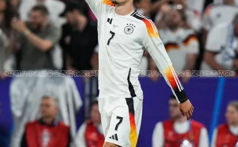 凯捷体育雷柏科技