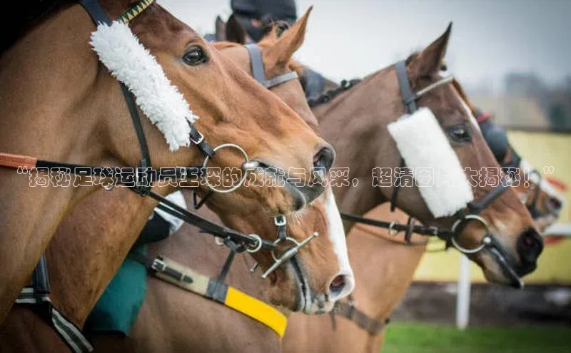 意昂4凯捷金山办公