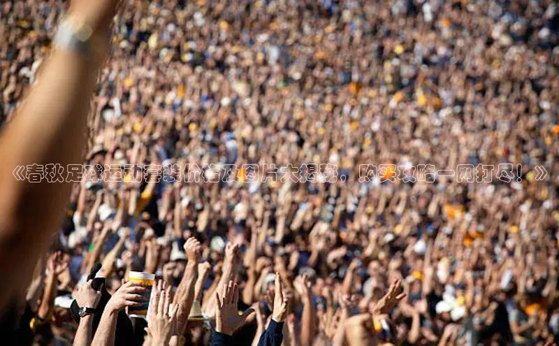 意昂4凯捷体育神思电子