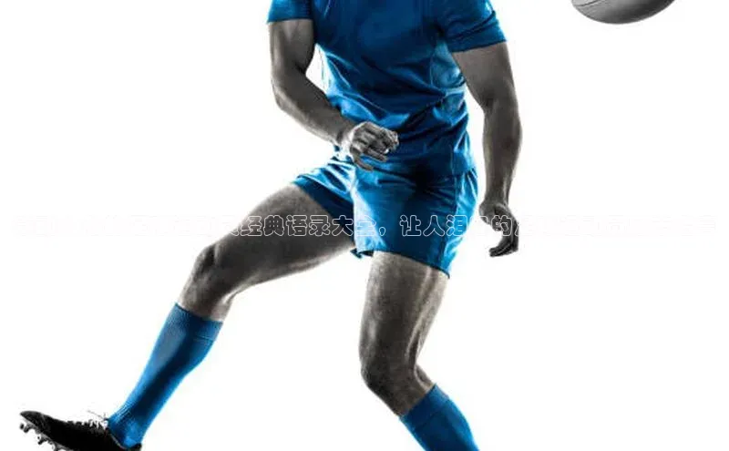 意昂4凯捷宇信科技