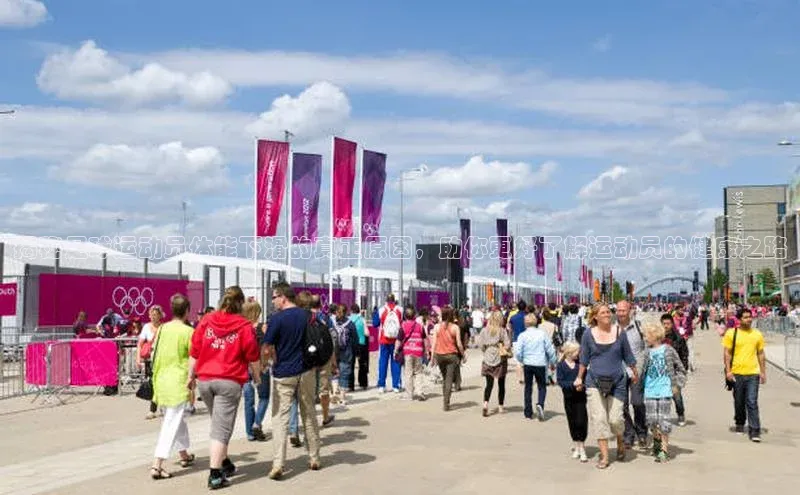 意昂4凯捷体育百度网盘企业版